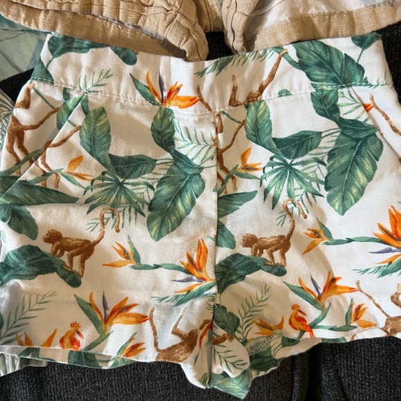 Bundle of Six 12-18M Janie and Jack Summer Shorts - Picture 3 of 4